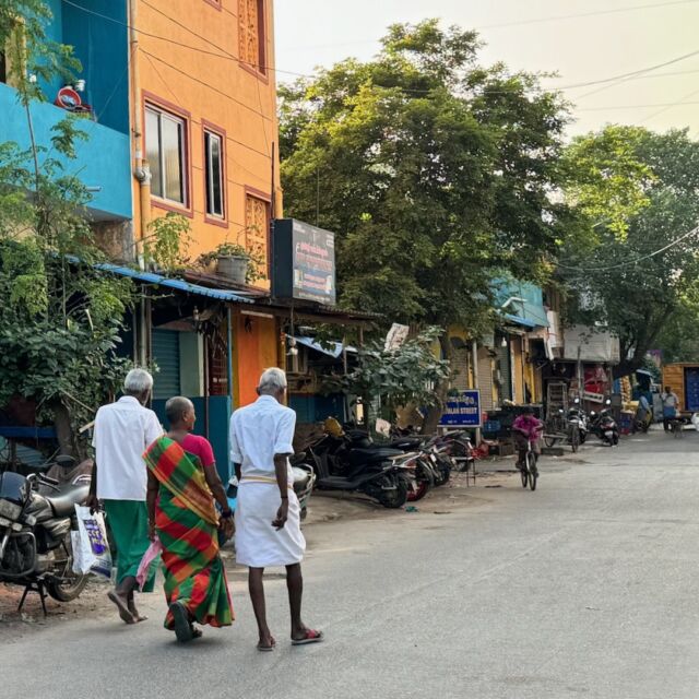 インド・チェンナイ。ちょうどポンガル（収穫祭）のまっただ中、街は色とりどりのサリー姿と、角や蹄を染めた牛であふれている。子どもたちの屈託ない笑顔、最高においしいサンバルイドゥリ、そして、ひなびた佇まいの壁。なんと美しいことよ！サントメ大聖堂では結婚式に遭遇、独特な聖歌に聞き入る。

#1週間前 #チェンナイ #chennai #ポンガル #インド旅 #バナナリーフ屋さんの笑顔にほっこり