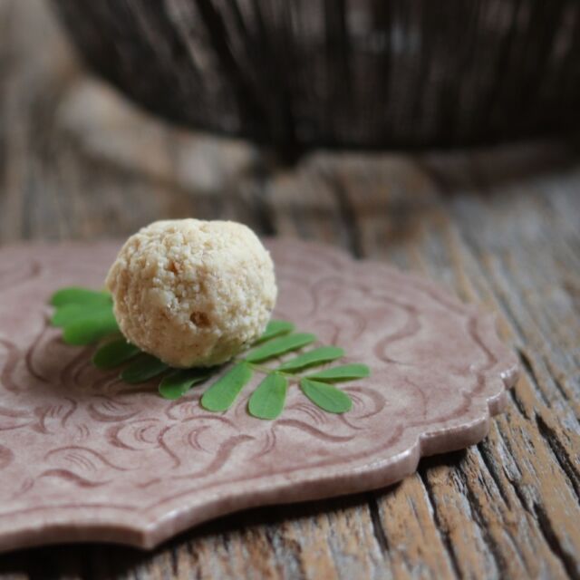 帰ってきてからの記念撮影も旅の醍醐味。
老舗らしきお菓子屋さんで購入したカシュークランブル。驚いたことにみんな大好き系の味。おいしいのだけれど、インド菓子食べた！という感じではない。感動したのはここのカジュカトリ（カシューナッツの伝統菓子）。ミルキーで高カロリー、おいしいギーを使ってるんだろうなあ。飢えてたLCC内で食べ始めたら止まらなくなり、日本まで持たなかったよ（故に写真なし）。

#SriKrishunaSweets #店舗前をのんびり雌牛が横切る #ミターイー #मिठाई #மிட்டாய் #鈎一馬