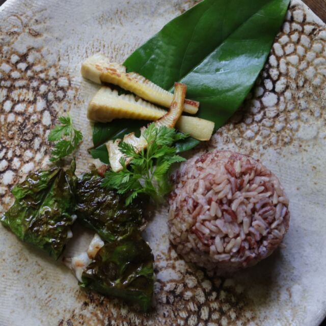 八重山みやげに島コショウの葉をいただく。かじってみるとほんのりさわやかな辛みと苦味。これはよい！きっとお肉に合う、そして確実に健胃作用がありそう。
冷蔵庫にあった鶏肉と海老を挟んで焼いてみる。しゃりっとした触感が加わってこれまたいい感じ。生葉も一緒にむしゃむしゃと、掘りたてタケノコもナンプラー焼きにして添えてみたよ。沖縄に行くたびに珍しい食材をみつけてきてくれる友に感謝！
3枚目はインドネシアの長コショウ（これもいただきもの）。パッケージがかわいくて好き。おなじ植物？ヒハツとヒハツモドキの違いがよく分からないけど、全部おいしいからよし。

#島コショウの葉 #ピパーチの葉 #ヒハツかヒハツモドキか #いただきもののしあわせ #ペッパーの語源はナガコショウのピッパリーらしい #ちょっと焼き過ぎ